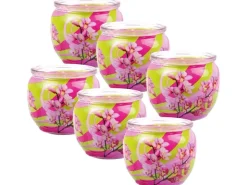 HS Candle Duftkerze Motiv 6er Pack Blütenzauber