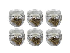 HS Candle Duftkerze Motiv 6er Pack Anti Tabak Ginger Lime