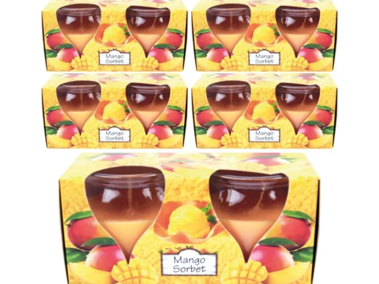 HS Candle Duftkerzen Creation 10er Pack Mango Sorbet
