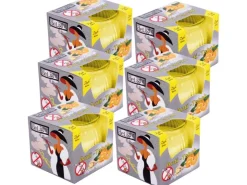 HS Candle Duftkerzen Raumerfrischer 6er Pack AntiTabak Ingwer Orange* Kerzen|Windlichter
