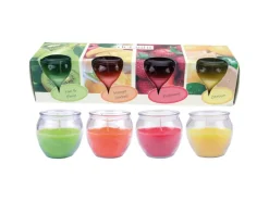 HS Candle Duftkerzen Selection 12er Pack Fruit Selection* Windlichter