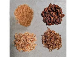 Insektus Mehr Sorten Mix Koifutter 5 Liter
