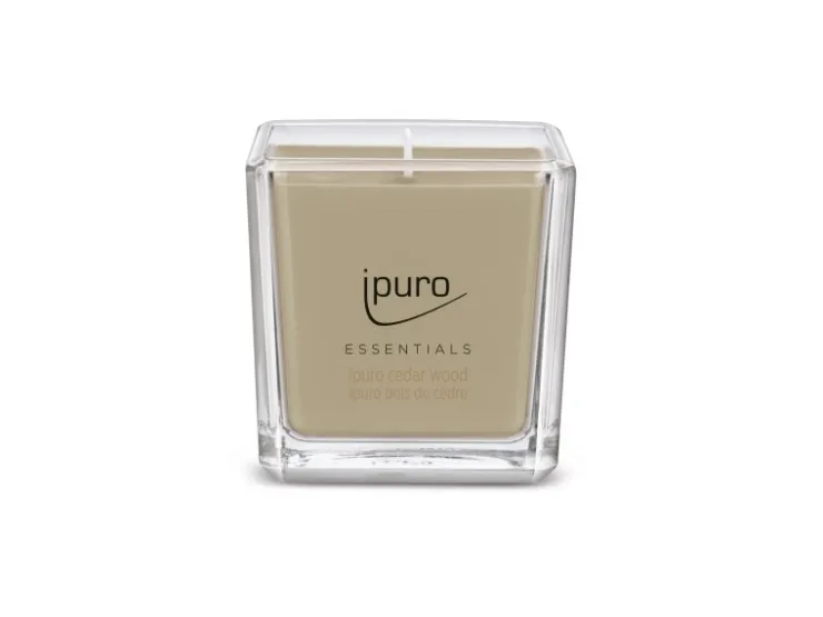 Ipuro ESSENTIALS Duftkerze Cedar Wood 125g* Kerzen