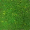 Jangal Wandpaneel Modular Wall Light Green Fibre Design Moos 52 x 52 cm