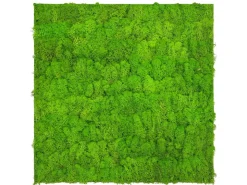 Jangal Wandpaneel Modular Wall Bright Green Moos 52 x 52 cm