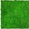 Jangal Wandpaneel Modular Wall Rich Green Moos 52 x 52 cm* Wanddekoration
