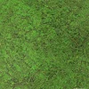 Jangal Wandpaneel Modular Wall Forest Green Ancient Tree 52 x 52 cm