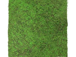 Jangal Wandpaneel Modular Wall Forest Green Ancient Tree 52 x 52 cm