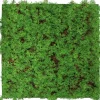 Jangal Wandpaneel Modular Wall Thuja Tea Tree 52 x 52 cm