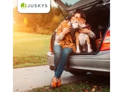 Juskys Faltbare Hundetransportbox Lassie M* Hundebedarf