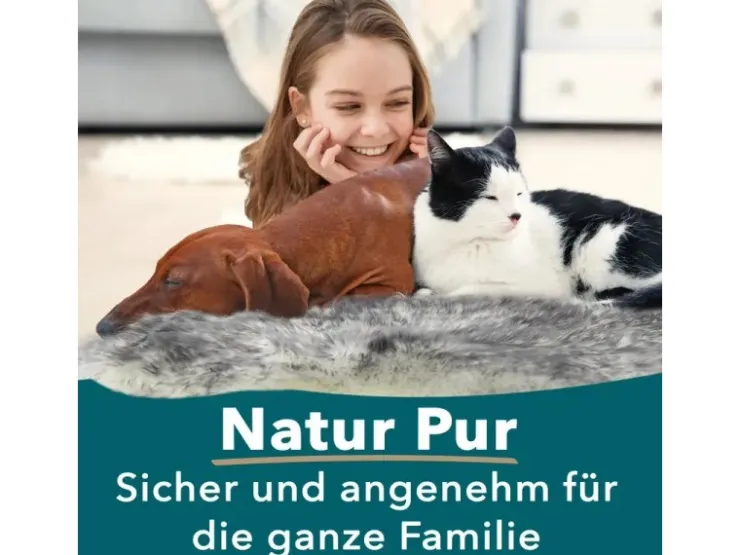Karat Schaffell Audrey Natürliches Premium Lammfell Individuell Einsetzbar Black Tip* Sessel|Stühle