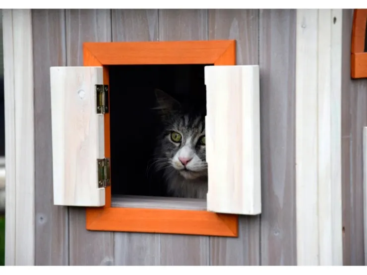 Dobar Katzenhaus "Fancy Cat" aus Holz für draußen und drinnen FSC®