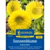 Kiepenkerl Sonnenblume "Gummy Bear" Helianthus annuus* Vasen