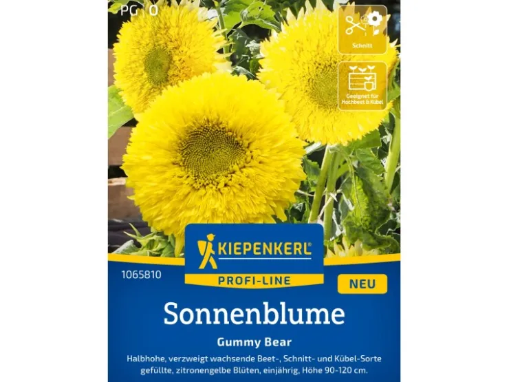 Kiepenkerl Sonnenblume "Gummy Bear" Helianthus annuus* Vasen