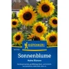 Kiepenkerl Sonnenblume "Hohe Riesen" Helianthus annuus