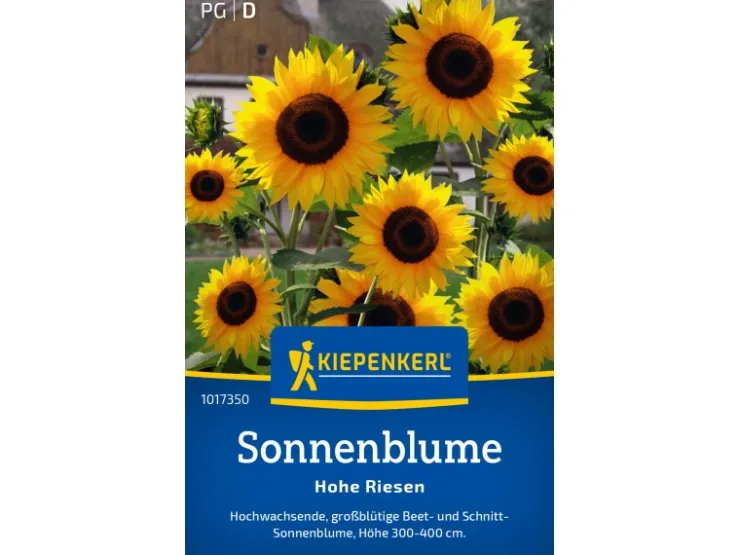 Kiepenkerl Sonnenblume "Hohe Riesen" Helianthus annuus