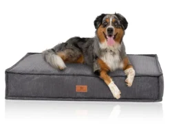 Knuffelwuff Hundekissen Lesedi Cord 80x60cm* Kissen