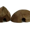 Proflora Kokoshöhle Versteck für Schlangen, Insekten, Spinnen und Nager - 1 x längs/Quer* Vogeltränken|Terraristik