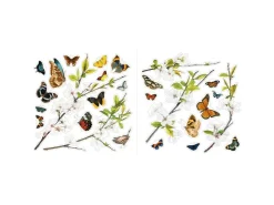 Komar Fenstersticker Cheerful 30 cm x 30 cm* Wandtattoos