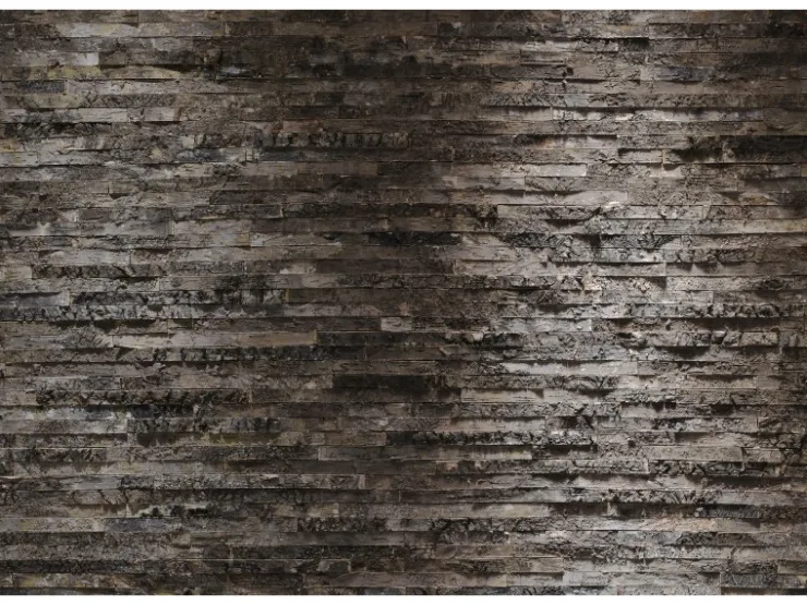 Komar Fototapete Birkenrinde 368 cm x 254 cm FSC®* Fototapeten