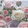Komar Fototapete Floraison 368 cm x 254 cm FSC®