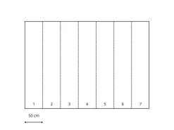 Komar Fototapete Mindfulness Grün 350 x 250 cm 611636