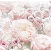 Komar Fototapete Spring Roses Hellrosa 368 x 254 cm 611041* Fototapeten