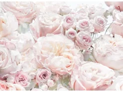 Komar Fototapete Spring Roses Hellrosa 368 x 254 cm 611041* Fototapeten