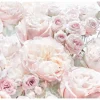 Komar Fototapete Spring Roses 368 x 254 cm