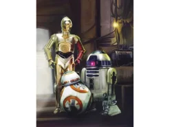 Komar Fototapete STAR WARS Three Droids 184 cm x 254 cm FSC®* Fototapeten