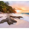 Komar Fototapete Vlies Nature 368 cm x 248 cm FSC® FSC®* Fototapeten