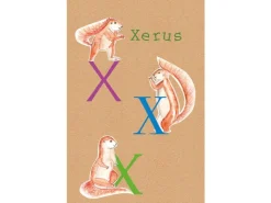 Komar Wandbild ABC Animal X 50 x 70 cm