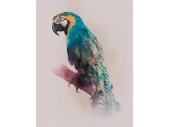 Komar Wandbild Animals Parrot 30 x 40 cm* Bilder
