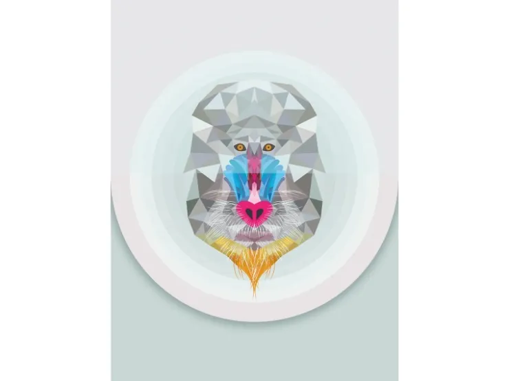 Komar Wandbild Baboon 50 x 70 cm* Bilder