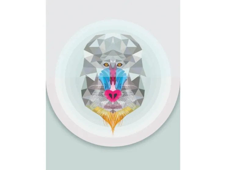 Komar Wandbild Baboon 30 x 40 cm
