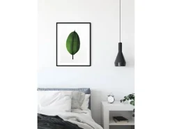 Komar Wandbild Ficus Leaf 40 x 50 cm* Bilder