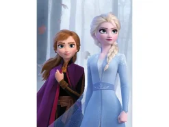 Komar Wandbild Frozen Sisters Wood 50 x 70 cm