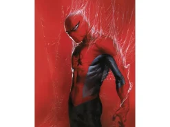 Komar Wandbild Marvel Spider-Man Through the Spider Web 30 cm x 40 cm Rot* Poster