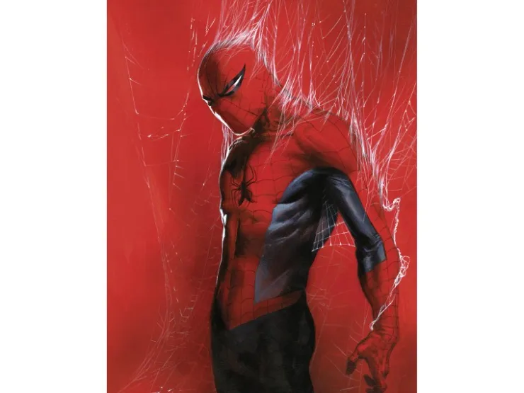 Komar Wandbild Marvel Spider-Man Through the Spider Web 30 cm x 40 cm Rot* Poster