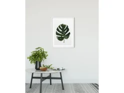 Komar Wandbild Monstera Leaf 30 cm x 40 cm* Poster