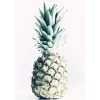 Komar Wandbild Pineapple 50 x 70 cm