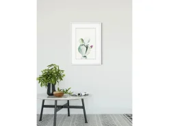 Komar Wandbild Prickly Pear 50 x 70 cm