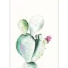 Komar Wandbild Prickly Pear 30 x 40 cm* Bilder
