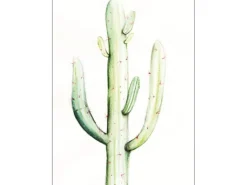 Komar Wandbild Saguaro Watercolor 40 x 50 cm* Poster