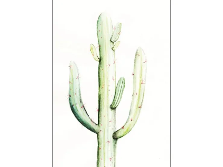 Komar Wandbild Saguaro Watercolor 30 x 40 cm* Bilder