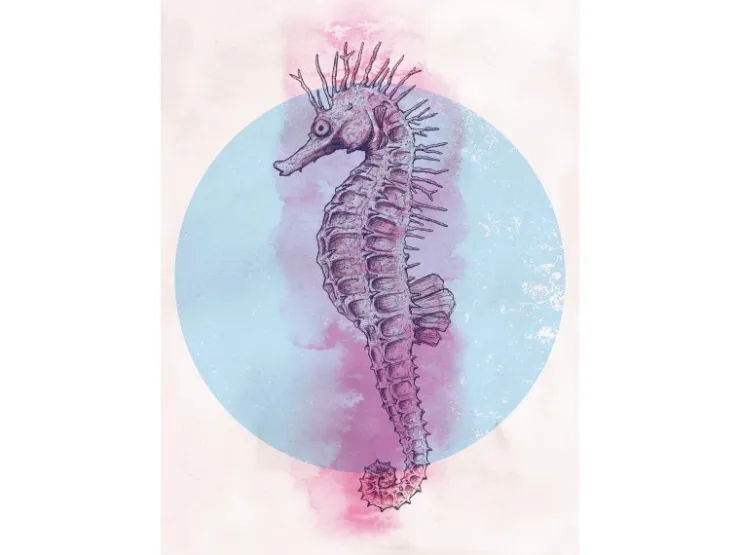 Komar Wandbild Sea Horse Circle 50 x 70 cm