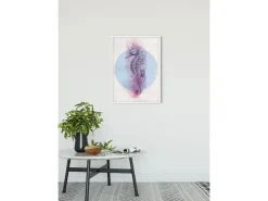 Komar Wandbild Sea Horse Circle 50 x 70 cm