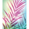 Komar Wandbild Shine 40 x 50 cm* Poster
