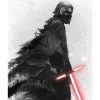 Komar Wandbild Star Wars Vader 40 x 50 cm* Poster