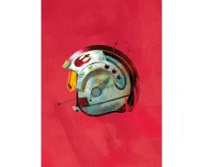 Komar Wandbild Star Wars Pilot 30 x 40 cm* Bilder